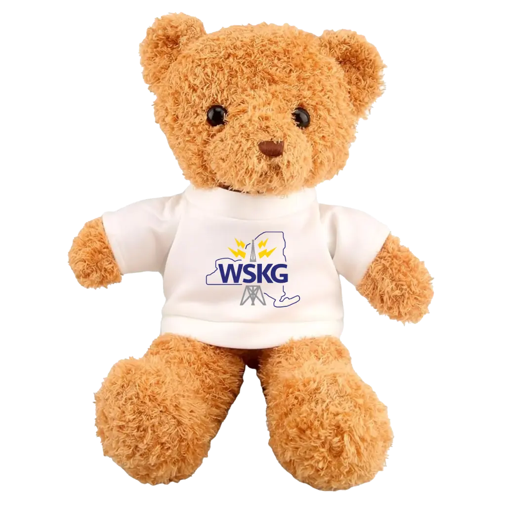 WSKG Radio Tower Teddy